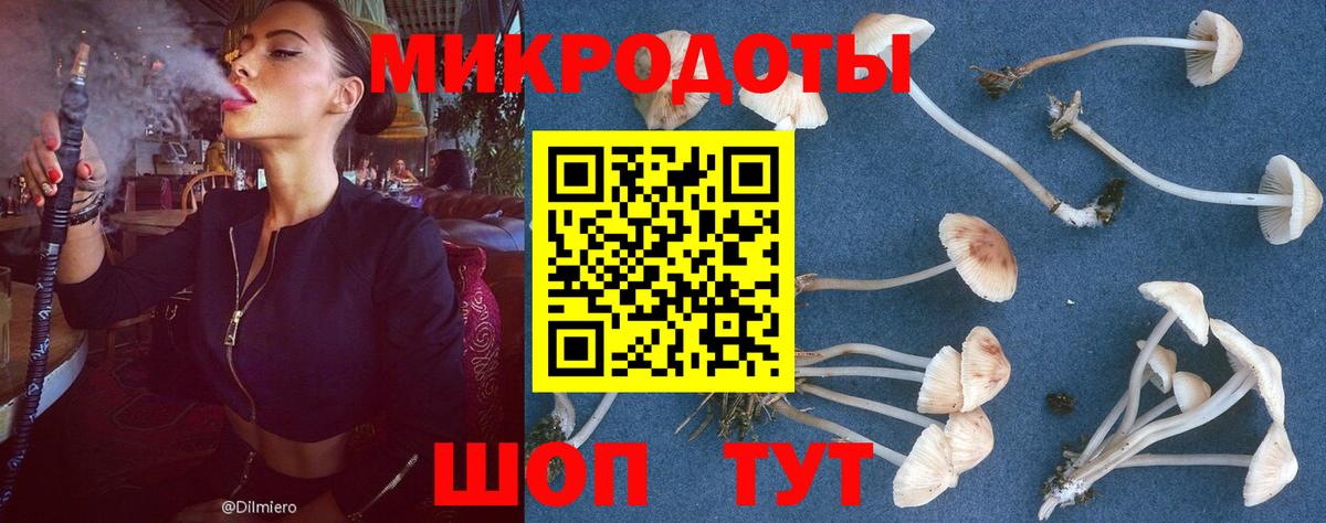 Моздок  Галлюциногенные грибы мицелий  Псилоцибиновые грибы Cubensis  Вход с VPN 